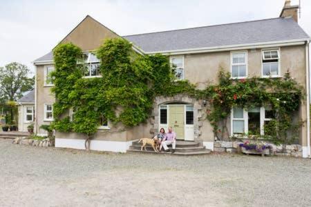 Buvinda Apartment Drogheda Exterior photo